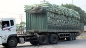 Thông tin về việc CSGT Đồng Nai bị tố bảo kê xe quá tải