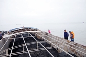 Cảnh sát biển tạm giữ 800 tấn than không rõ nguồn gốc