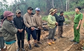 Khởi tố, bắt tạm giam 9 đối tượng trong vụ phá rừng quy mô lớn ở Đắk Lắk