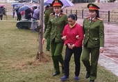 Đề nghị khởi tố Bùi Thị Kim Thu tội Che giấu tội phạm