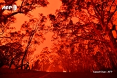 Úc chìm trong khói lửa như hỏa ngục, hàng chục ngàn người tháo chạy trong hoảng loạn