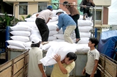 Trên 14,3 tỉ đồng hỗ trợ gạo cứu đói cho đối tượng chính sách dịp Tết Nguyên đán