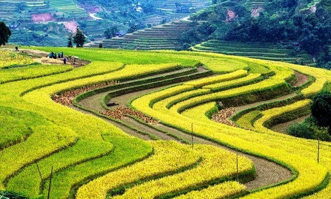 Vẻ đẹp nao lòng ruộng bậc thang vừa được công nhận di tích quốc gia