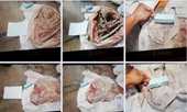 Bàng hoàng phát hiện thêm 7 bộ xương người trong lô cao su ở Tây Ninh