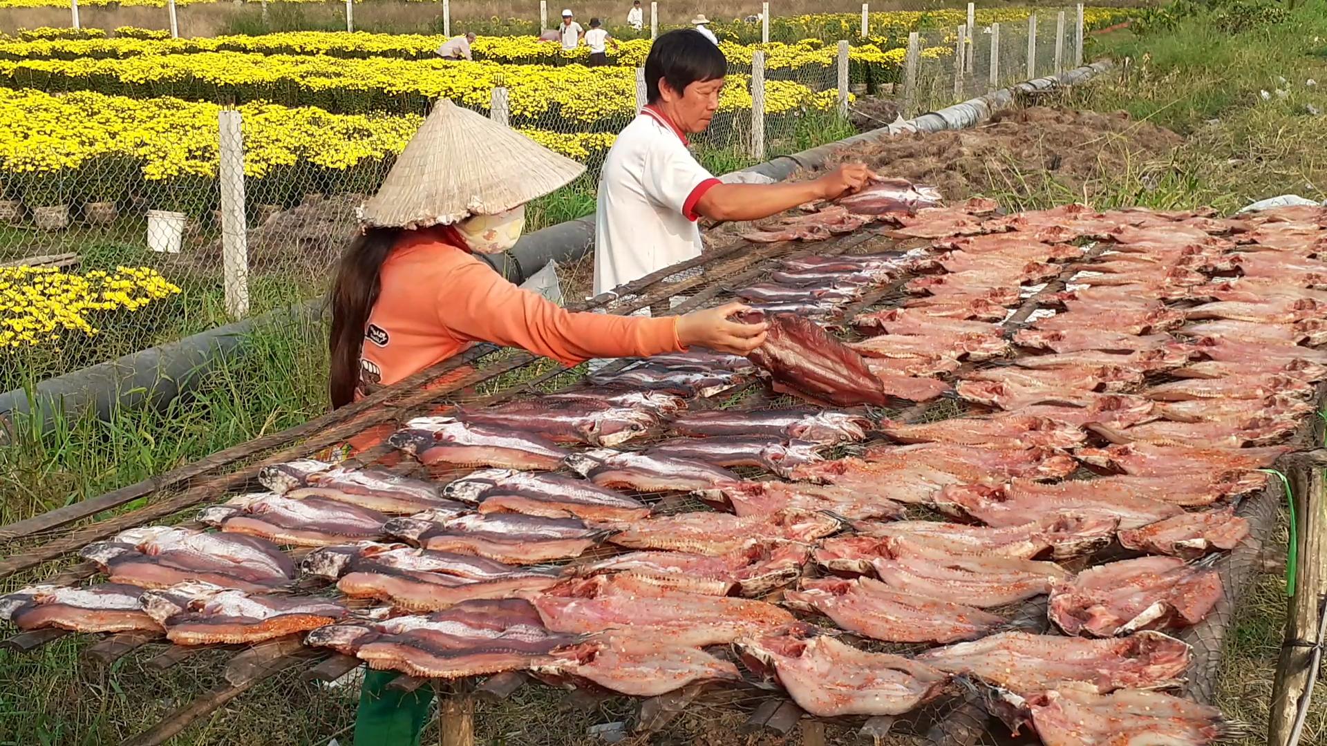 Xóm khô cá lóc xứ sở gạo trắng nước trong tất bật vào Xuân