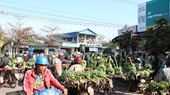 Chợ chuối vùng biên lớn nhất miền Trung nhộn nhịp ngày cận Tết