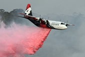 Máy bay chữa cháy rơi ở Úc, 3 lính cứu hỏa Mỹ thiệt mạng