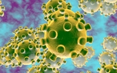 Mỹ và Trung Quốc phát triển vaccine chống coronavirus