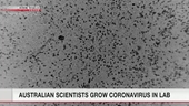 Úc nuôi cấy thành công virus corona chủng mới