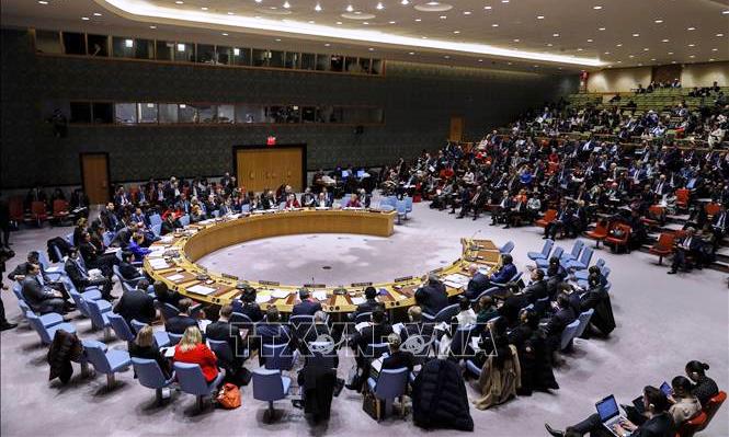 Việt Nam chủ trì phiên họp của HĐBA về các vấn đề tại Cyprus và Libya