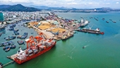 5 tàu hàng có thuyền viên quốc tịch Trung Quốc sẽ tới Cảng Quy Nhơn