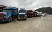 Còn tồn hàng trăm xe tải, 37 toa hàng trái cây xuất khẩu sang Trung Quốc