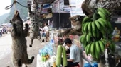 Trung Quốc bắt giữ gần 700 người vì vi phạm lệnh cấm buôn bán động vật hoang dã