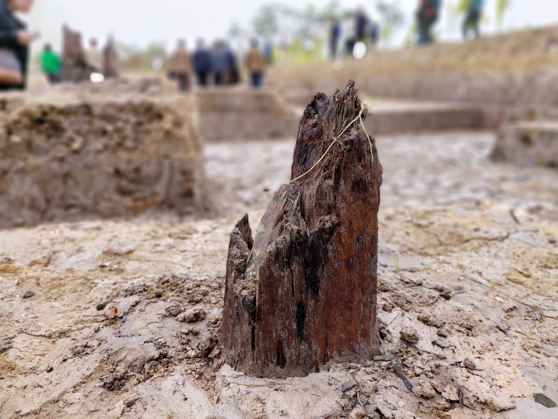 Hải Phòng lại phát hiện thêm bãi cọc có liên quan đến chiến thắng Bạch Đằng năm 1288