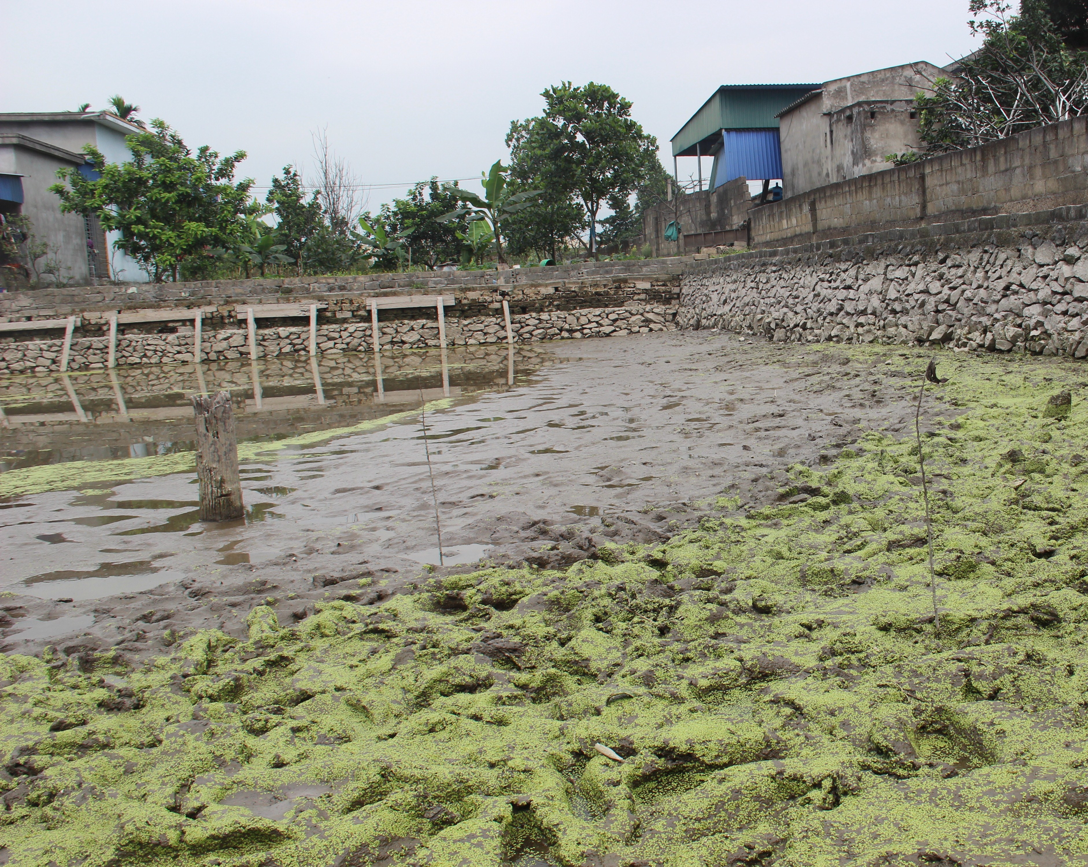 Hải Phòng khai quật khẩn cấp bãi cọc liên quan trận chiến Bạch Đằng