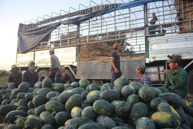 Bắt nhóm trấn lột tiền của người phụ nữ thu mua dưa hấu