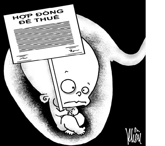 Kẻ vận chuyển ba trẻ sơ sinh quá cảnh vào Việt Nam nhận kết   đắng