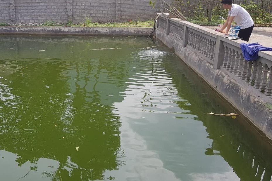 Tắm ao, bé trai 4 tuổi bị đuối nước thương tâm