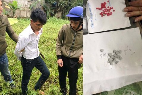 Bắt giữ đối tượng tàng trữ lượng ma túy lớn