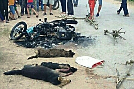 Khởi tố vụ án 2 đối tượng trộm chó bị đánh thương vong