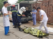 Vụ cháy làm 8 người chết ở Trung Văn, Hà Nội Khởi tố 1 giám đốc