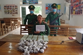 Vượt biên sang Lào vận chuyển thuê 10 bánh heroin với giá bèo bọt