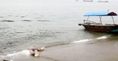 Phát hiện thi thể người phụ nữ trên bờ biển Vũng Tàu