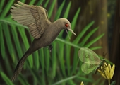 Phát hiện hóa thạch khủng long tí hon 99 triệu năm tuổi nhỏ hơn cả chim sâu