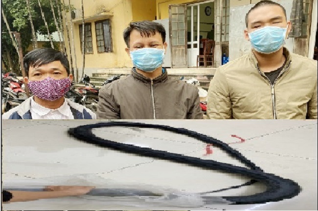 Bắt quả tang 3 đối tượng vận chuyển rắn hổ mang chúa đi tiêu thụ