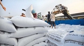Việt Nam tạm dừng xuất khẩu gạo kể từ ngày 24 3 2020