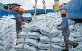 Bộ Công thương kiến nghị Thủ tướng cho phép kiểm tra lại lượng gạo tồn trong dân, doanh nghiệp