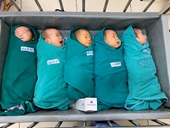 5 công dân chào đời trong khu cách ly Bệnh viện Bạch Mai