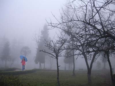 Bắc bộ chuyển mưa rét, Hà Nội chiều tối có mưa rào và giông