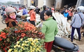 Thông báo khẩn Người mua bán hoa ở chợ Mê Linh từ 20 3 cần liên hệ y tế gấp