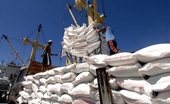 Số lượng gạo đã đăng ký tờ khai xuất khẩu tháng 4 gần chạm mốc 400 000 tấn