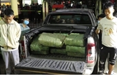 NÓNG Bắt 2 đối tượng người Điện Biên vận chuyển 300kg ma túy đá
