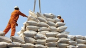 Phó Thủ tướng yêu cầu báo cáo về việc doanh nghiệp gặp khó khăn khi mở tờ khai xuất khẩu gạo