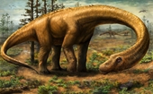 Bất ngờ với dấu chân 165 triệu năm tuổi của loài khủng long lớn nhất hành tinh đã tuyệt chủng