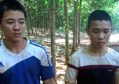 Hai thiếu nữ bị nhóm thanh niên hiếp dâm trong vườn cao su
