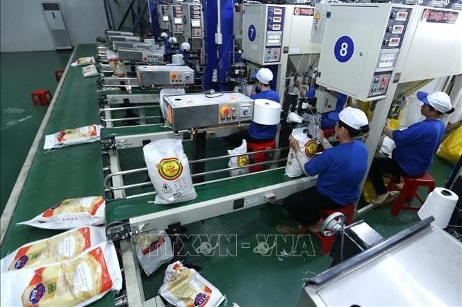 Thanh tra Chính phủ vào cuộc, thanh tra quản lý về xuất khẩu gạo