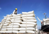 Bộ Công thương kiến nghị Thủ tướng cho phép xuất khẩu gạo bình thường từ 1 5