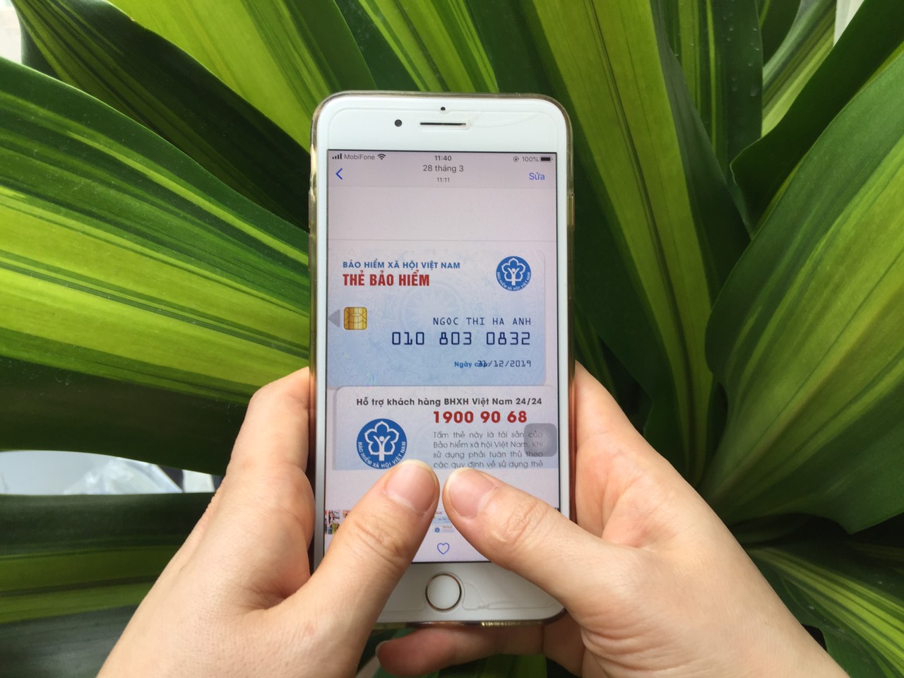 Sẽ triển khai thẻ BHYT điện tử trên thiết bị di động với ứng dụng VSS-ID