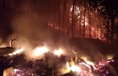 Điều tra vụ cháy gần 100ha rừng tại Khánh Hòa