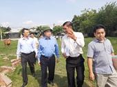 Bí thư Thành ủy Nguyễn Thiện Nhân khảo sát “điểm nóng” xây nhà không phép ở Bình Chánh