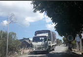 Ai “bảo kê” cho xe quá tải tung hoành tại cù lao Tân Phú Đông