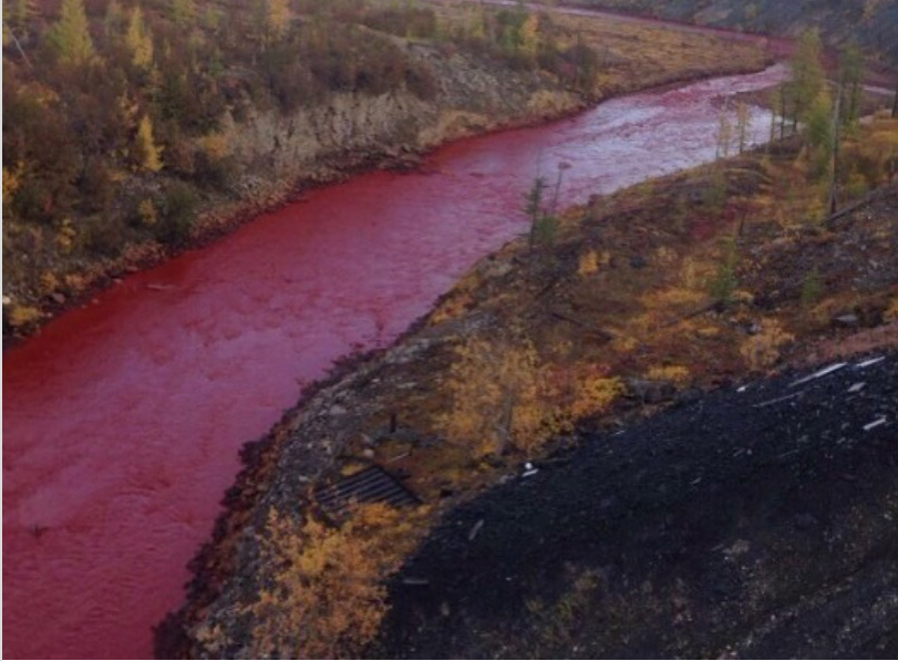 Mỹ đề nghị giúp Nga khắc phục sự cố tràn dầu tại Bắc Cực