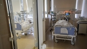 Nga xây dựng bệnh viện dã chiến “khủng” ở Bắc Cực chỉ trong 2 tuần