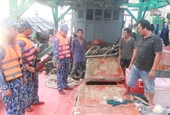 Phát hiện, bắt giữ 2 tàu cá vận chuyển lậu hơn 25 000 lít dầu