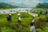 Lễ hội đánh cá có truyền thống gần 300 năm chuẩn bị khai hội tại Hà Tĩnh
