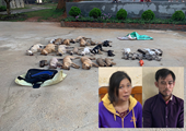 Hãi hùng cặp tình nhân dùng chất độc Syanua trộm chó liên tỉnh